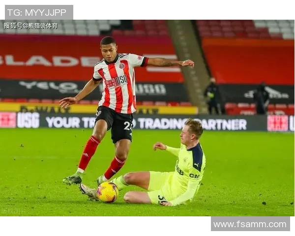 谢菲联与南安联的激烈对决展现英冠联赛的精彩与悬念